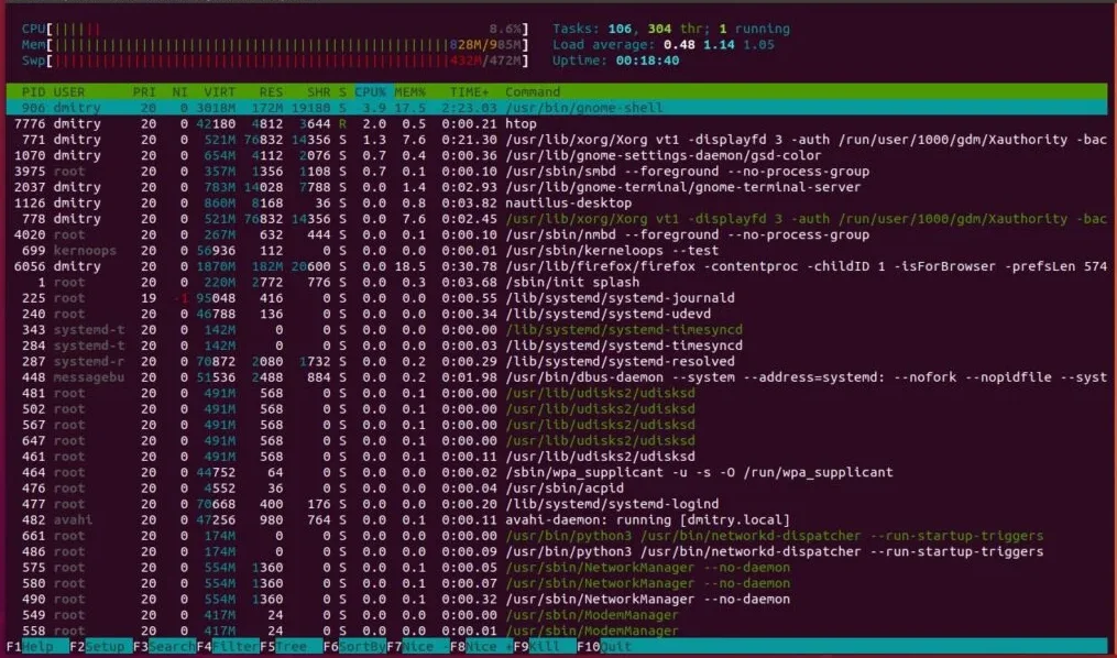 Tela com o terminal do Linux